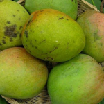প্রিমিয়াম ফ্রেশ বোম্বাই আম | Fresh Premium Bombay Mango (বোম্বাই আম)