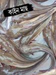 প্রিমিয়াম ফ্রেশ কাইন মাগুর মাছ | Fresh Premium Kain Magur Fish (কাইন মাগুর মাছ)