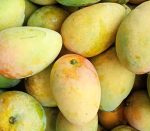প্রিমিয়াম ফ্রেশ লক্ষণভোগ আম | Fresh Premium Lakshonbhog Mango (লক্ষণভোগ আম)
