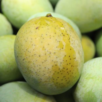 প্রিমিয়াম ফ্রেশ ল্যাংড়া আম | Fresh Premium Langra Mango (ল্যাংড়া আম)