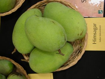 প্রিমিয়াম ফ্রেশ হিমসাগর আম | Fresh Premium Himsagar Mango (হিমসাগর আম)